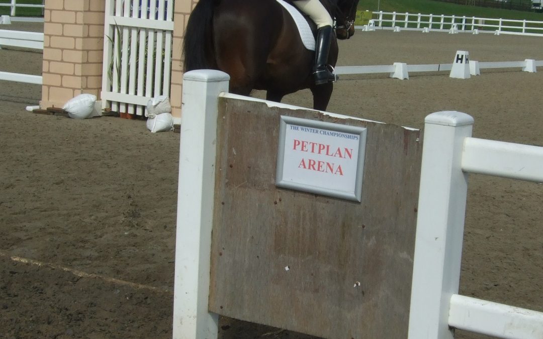 Could A Schoolmaster Lesson Be The Best Thing You Do This Year?