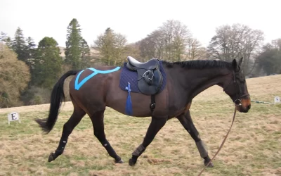 Using Equipment To Enhance Your Off-Horse Training