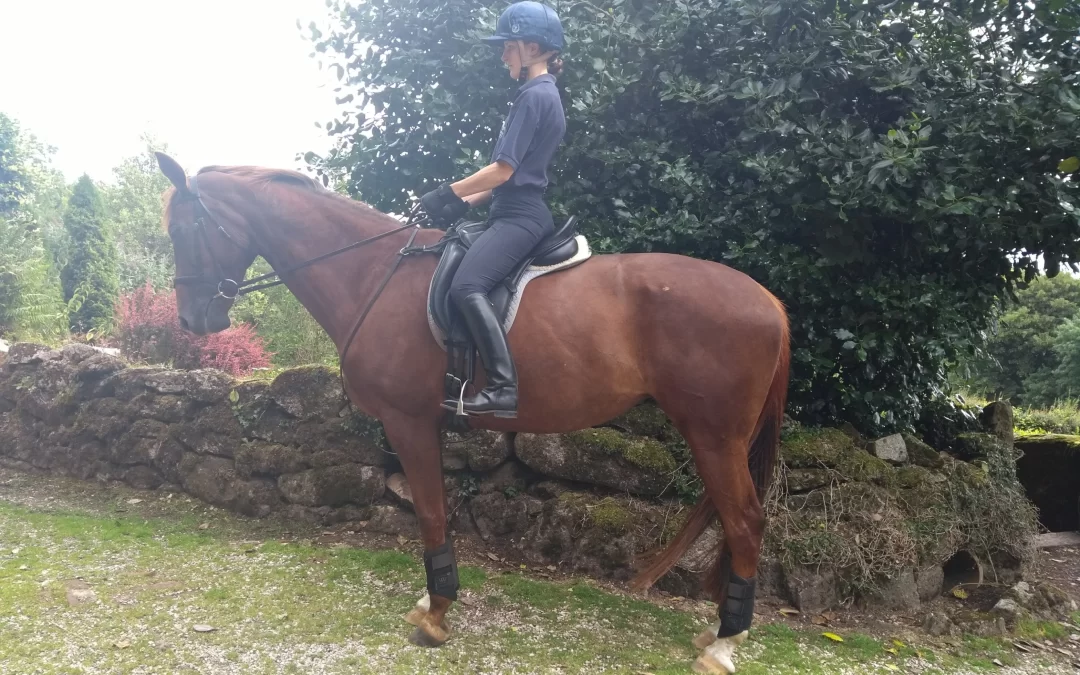 Getting To Grips With Lower Leg Position